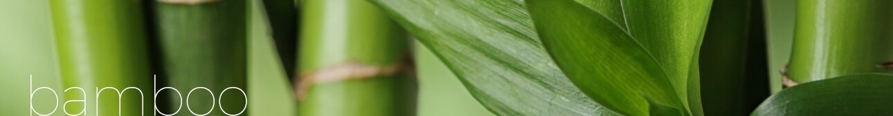 BAMBOO