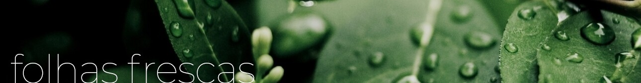 FOLHAS FRESCAS