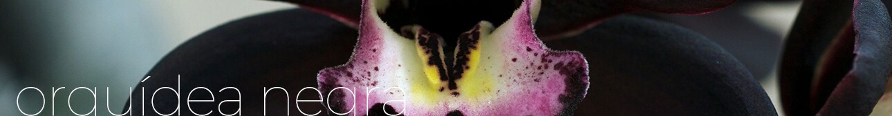 ORQUÍDEA NEGRA