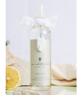 Home spray 250ml nix