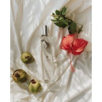 Home spray 100ml lux - HIBISCO & ROMÃ