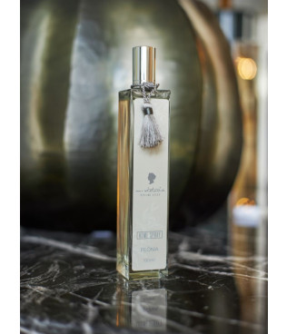 Home spray 100ml lux