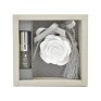 gesso perfumado rosa