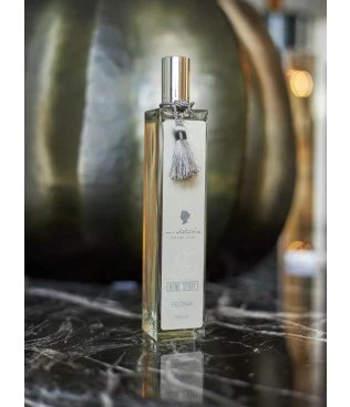 Home spray 100ml lux