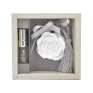 gesso perfumado rosa
